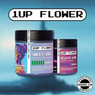 (14.0g) 1UP Flower - Chocolate Ganache 14g