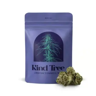 (3.5g) Kind Tree | Flower | Buds | Cherry Runtz | 3.5g