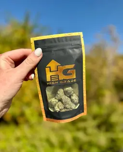 (1.0g) Bernscotti Bulk (I)