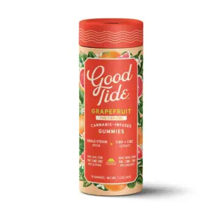 (0.1g) Good Tide - 100mg Hash Rosin Gummies - Blissful Grapefruit