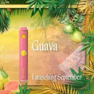 (0.6g) Lion Order-Guava 0.6g Disposable Vape