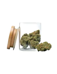 (3.5g) $30 3.5g - Nuclear Sunset - PMC Cultivation