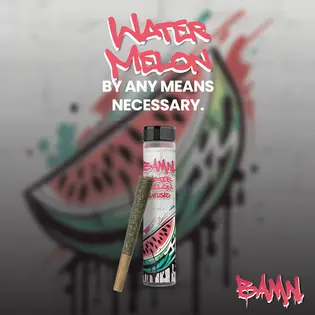 (1.25g) BAMN - Watermelon - Infused Pre-Roll
