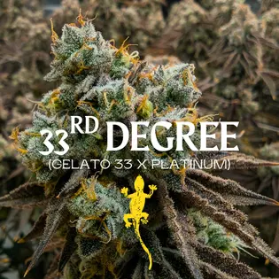 (14.0g) 33rd Degree - 1/2oz