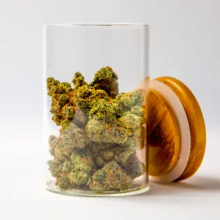 (14.0g) Citrus Sap - Popcorn Nugs - 1/2oz