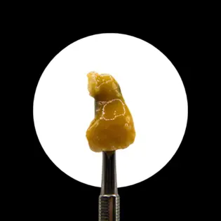 (1.0g) Big Winner 1g Live Rosin
