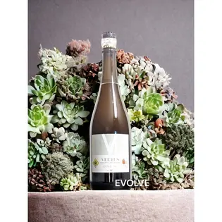 (0.1g) 100mg Vertus Champagne - Vertus