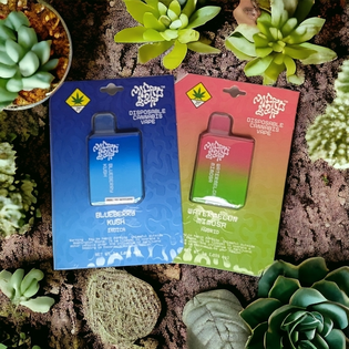 (1.0g) 1g Watermelon Mimosa Disposable - MicroBar