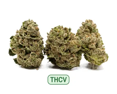 (1.0g) THCV Get Sh!t Done - Select Sungrown
