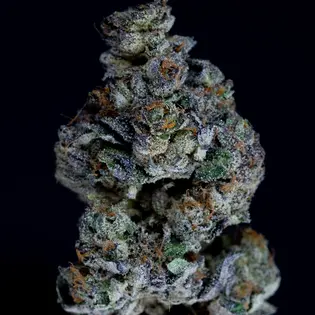 (g) $5 Tier : Sherb Pie