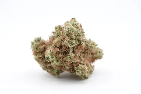 (g) Banana Sherb - State3 (H)