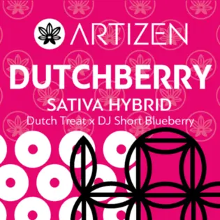 (g) CO Shatter Dutchberry 1g Artizen