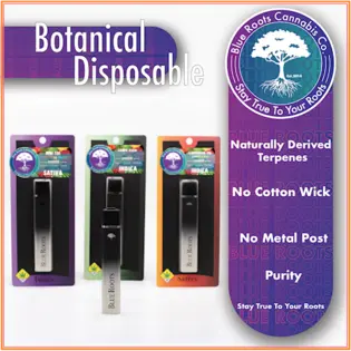 (each) Blue Roots - Orange Creamsicle Botanical Disposable