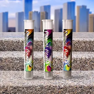 (each) Casual Cone - Blueberry Scone Joint