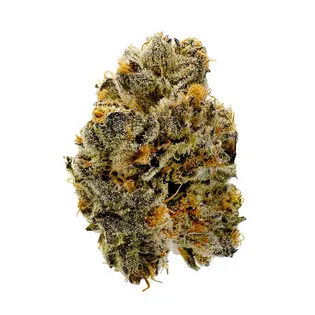 (3.5g) Buoyant Bob | Garlic Butter 3.5g