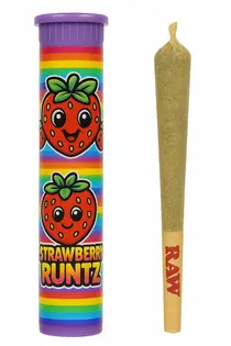 (1.0g) Green Co. Ventures | Strawberry Runtz | 1g Pre-Roll