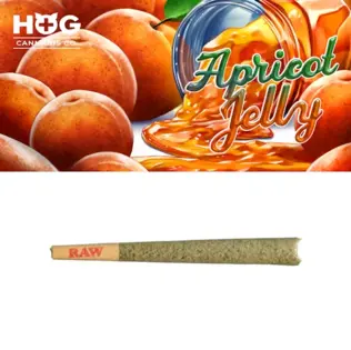 (1.2g) Apricot Jelly | HOG Cannabis Co.