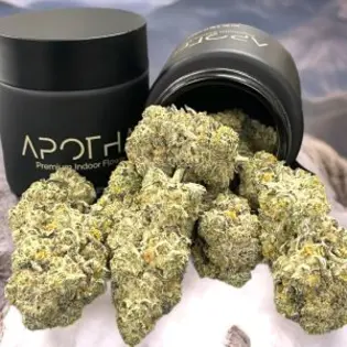 (3.5g) Apotha | 3.5g | Street Guru