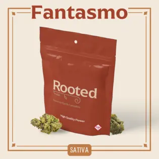 (3.5g) Fantasmo Flower | 3.5g