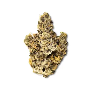 (3.5g) Dosidos (February/May '24 Harvest)