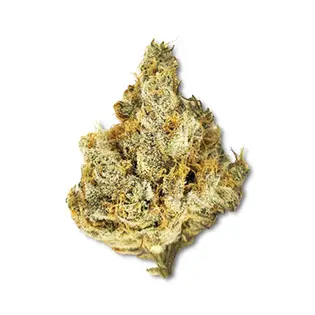 (1.0g) Black Raspberry (November '24 Harvest)