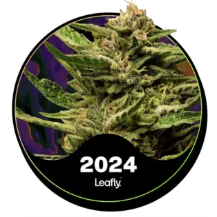 (g) Super Boof (Hybrid)