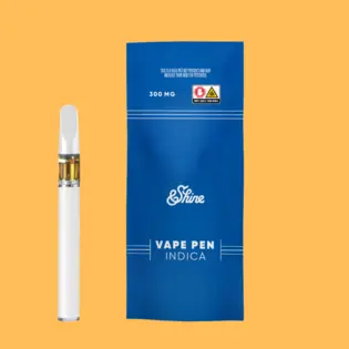 (g) &SHINE | NORTHERN LIGHTS | 0.3G DISPOSABLE