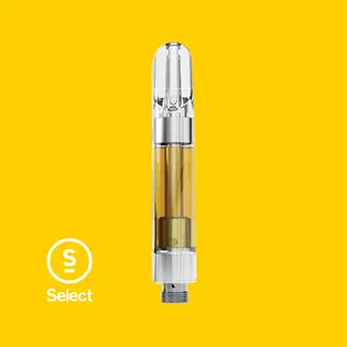 (g) Select  Garlotti (S) Elite Vape Cartridge  C0030000946