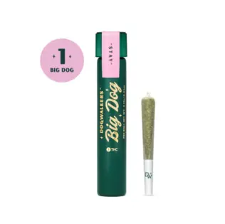 (each) Big Dogwalkers Pre-Roll Gogurtz (H) .75g