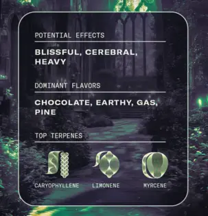 (each) Big Dogwalkers Pre-Roll Animal Scout (I) .75g