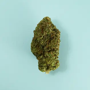 (g) Tahoe OG x Dosidos