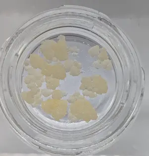 (g) Bold 1/2g Sugar: 24K Strawberry Guava