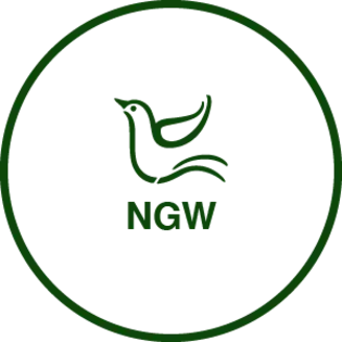 (g) Cart Wheels - Live Sugar - .5g (HYBRID)