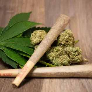 (g) Blue Dream .5g PreRoll