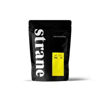 (each) Governmint Oasis 14g, Buds