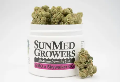 (each) GMO x Skywalker OG 28g, Buds