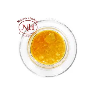 (g) South Shore Sour