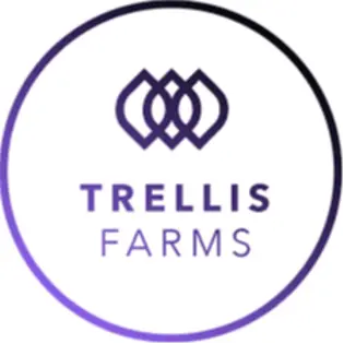 (g) Aloha Jack Flower - Tier 2