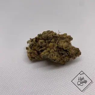 (g) Afghani x Thai - M2 (H)