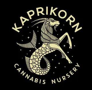 (g) Cap Junky - Kaprikorn (H)