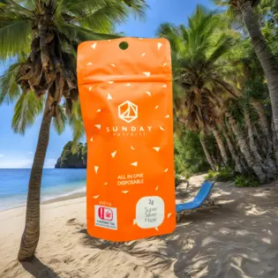 (each) Sunday 2g Disposables Super Silver Haze