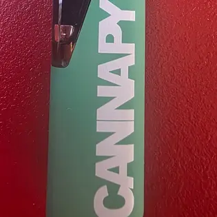 (g) Baja Bash 0.5g Disposable