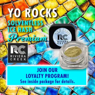 (g) Yo Rocks Ice Hash