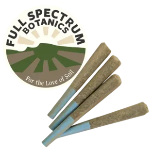 (g) Trouble Maker (In-Dom)