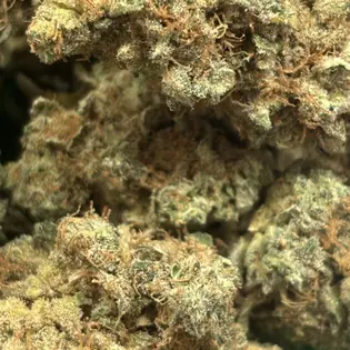 (g) Blueberry Cupcakes