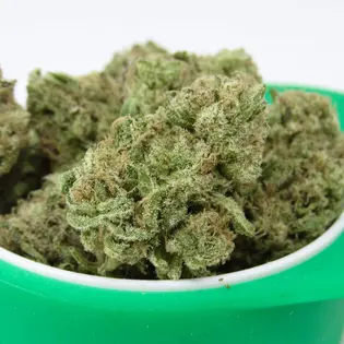 (g) PHS | Flower | Coolio