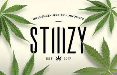 (g) PINEAPPLE RUNTZ 0.5G POD