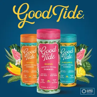 (each) Good Tide | Grapefruit 1:1:1 Hash Rosin Gummies 100mg