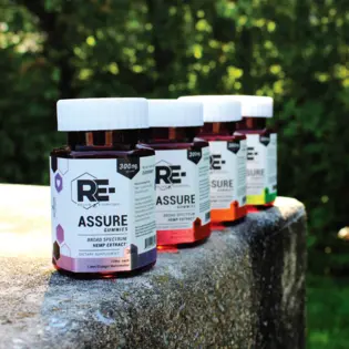 (each) Everyday Pre-Roll 1g Party Pack (14pk) - Lemon Zizzle