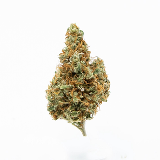 (g) Peyote Cookies (Indica)(0.5g Preroll)